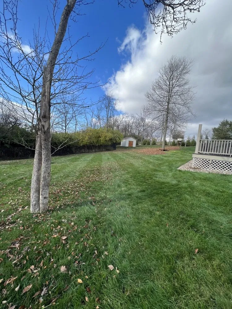 Trusted landscape design for outdoor upgrades across Carnegie, PA - Charis Landsaping