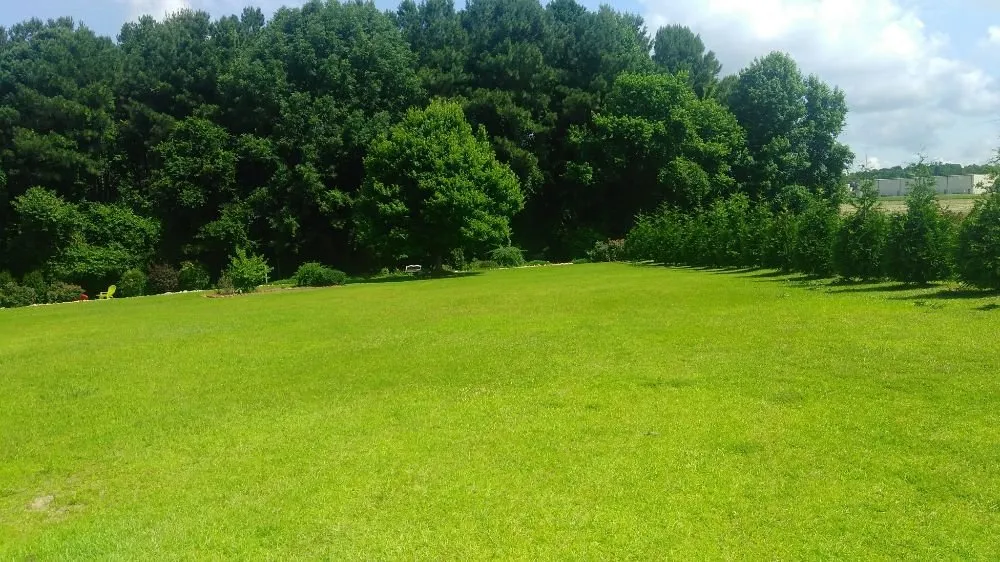 Local garden landscaping in Wilson, NC by Charities and Trimmings