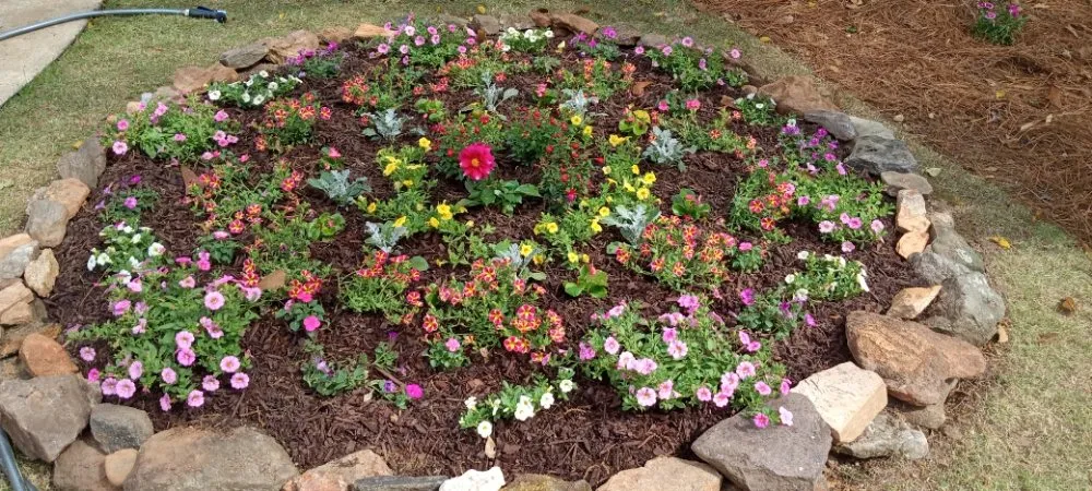 Top-rated lawn care service experts serving Columbus, GA - Charleighs First Landscaping