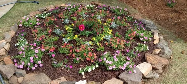 Charleighs First Landscaping Logo