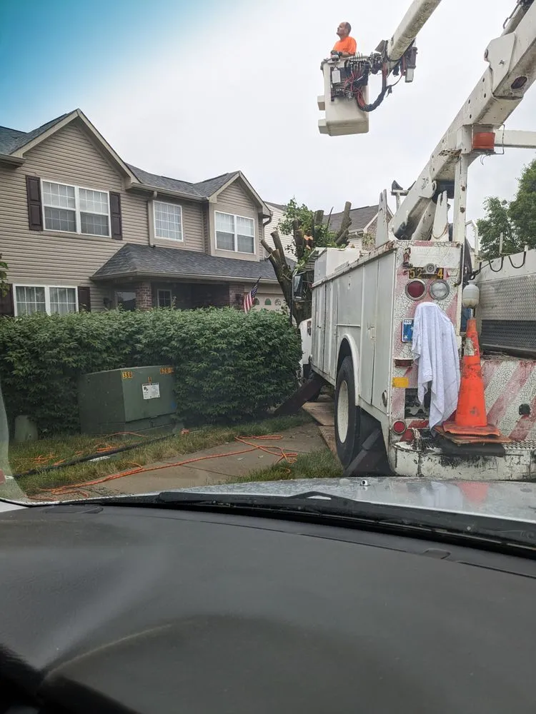 Expert landscape design near you in Indianapolis, IN by Charles and son's tree service and lanscaping