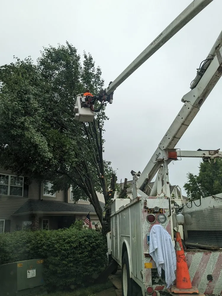 Reliable residential landscaping near you in Indianapolis, IN by Charles and son's tree service and lanscaping