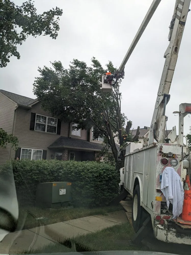 Reliable outdoor landscaping in Indianapolis, IN by Charles and son's tree service and lanscaping