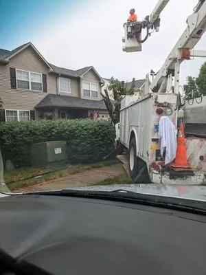 Charles and son's tree service and lanscaping Logo