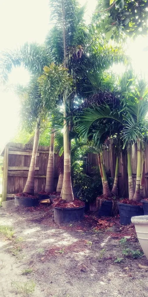 Expert lawn mowing service in Palm Bay, FL - Charles B Lawn Services