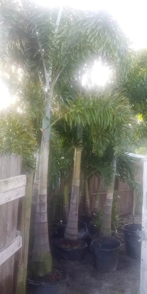 Trusted residential landscaping in Palm Bay, FL - Charles B Lawn Services