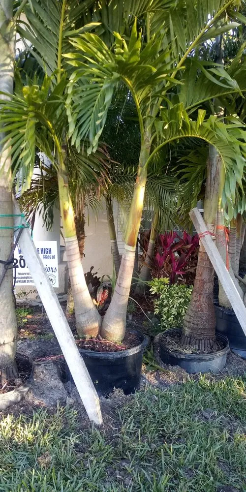 Top-rated residential landscaping in Palm Bay, FL by Charles B Lawn Services