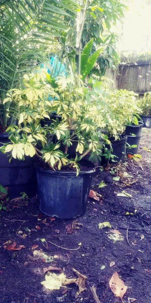 Trusted garden landscaping experts serving Palm Bay, FL - Charles B Lawn Services