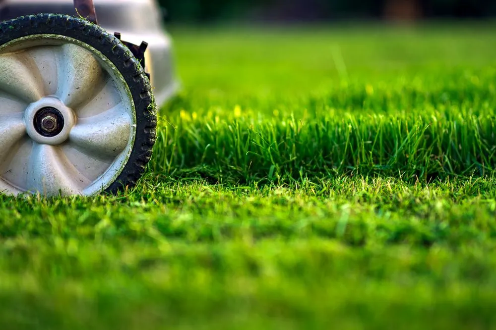 Custom lawn mowing service for beautiful yards across Chelsea, MI - Charles Benoit