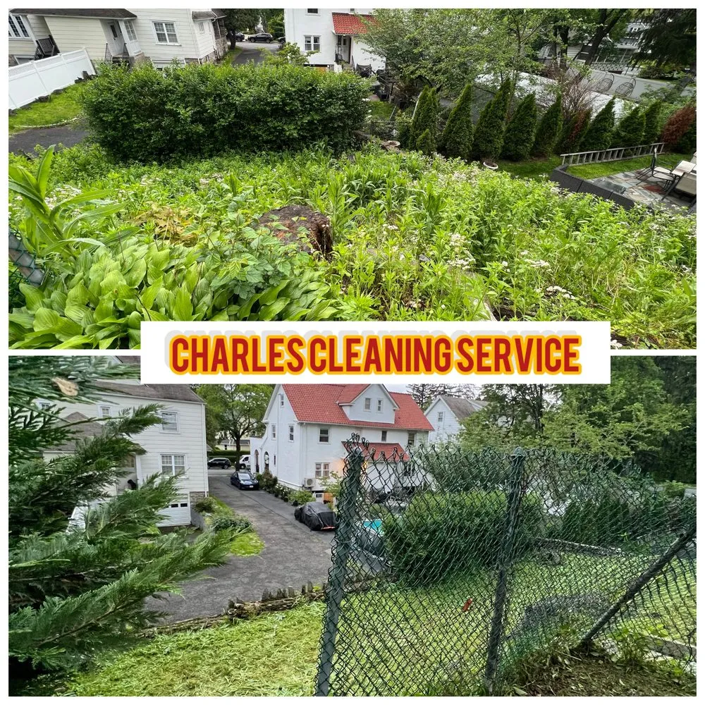 Trusted landscaping services in White Plains, NY - Charles Cleaning Service