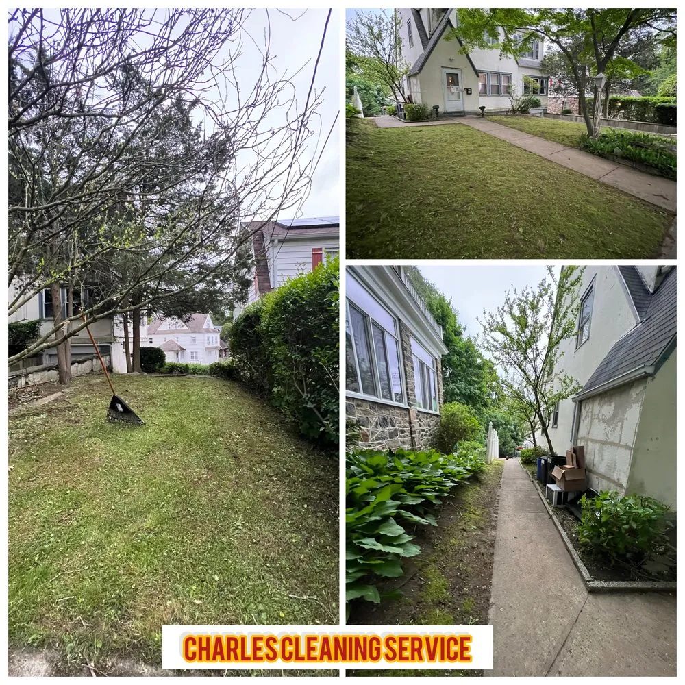 Local yard cleanup service experts serving White Plains, NY - Charles Cleaning Service