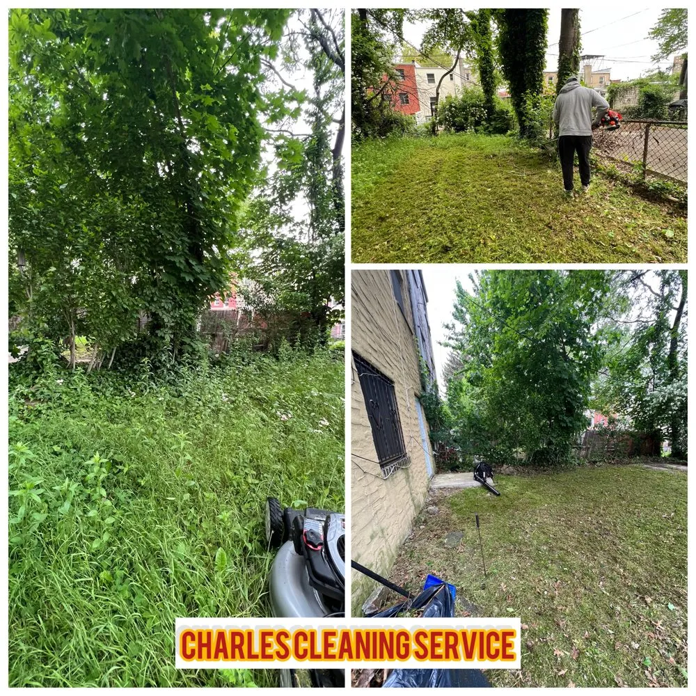Professional lawn mowing service in White Plains, NY by Charles Cleaning Service