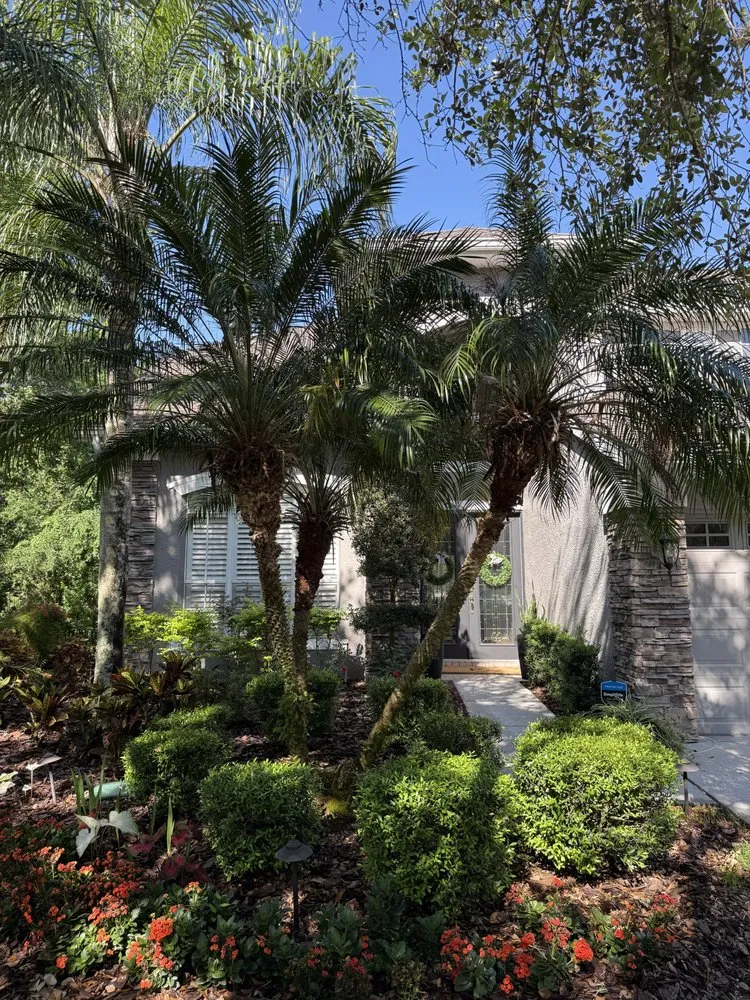 Custom lawn mowing service experts serving Tampa, FL - Charles Coogle Tree Service