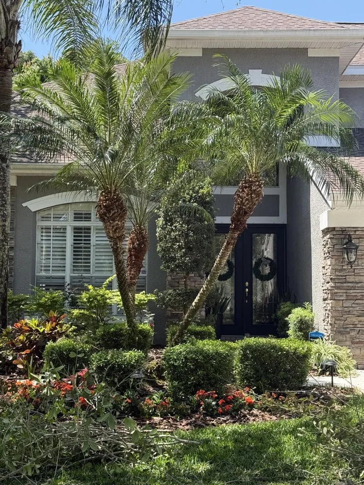 Trusted landscaping services near you across Tampa, FL - Charles Coogle Tree Service