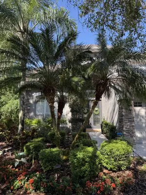 Charles Coogle Tree Service Logo