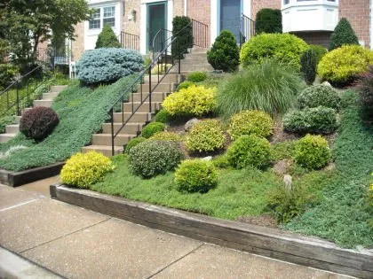 Charles D Ives II Landscaping