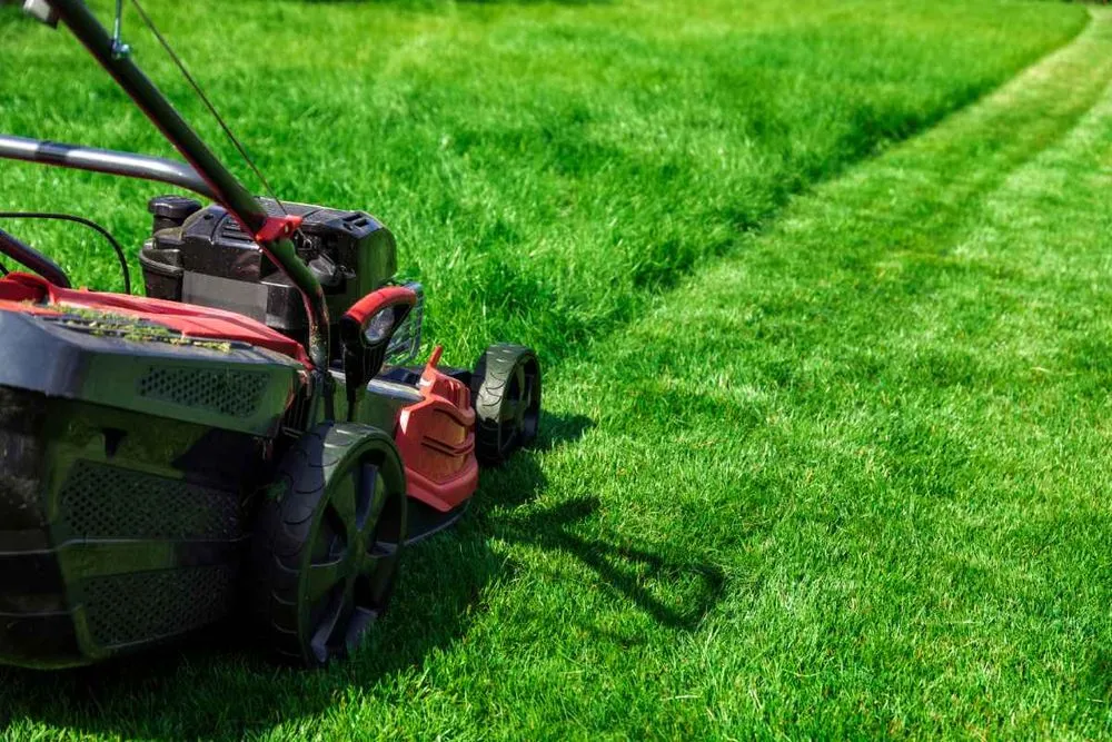 Professional lawn care service in Lake Leelanau, MI - Charles Does It All
