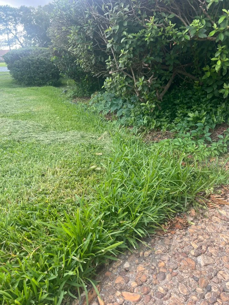 Top-rated yard cleanup service in Pensacola, FL by Charles G Landscaping