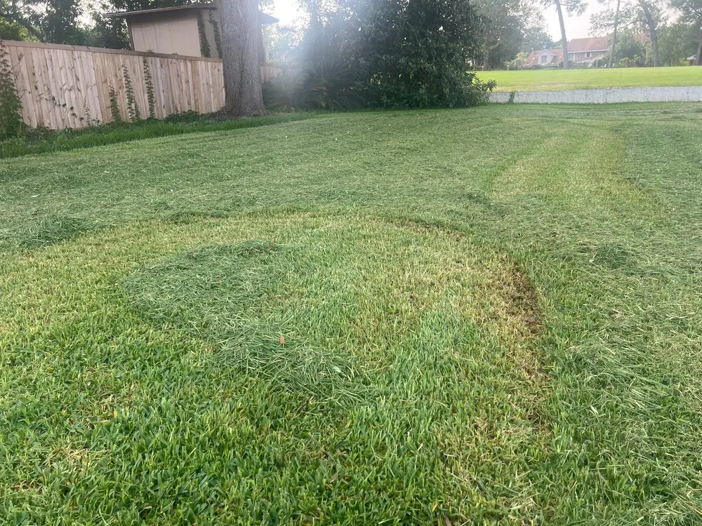 Reliable landscape installation experts serving Pensacola, FL - Charles G Landscaping