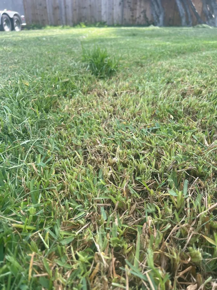 Professional landscape design experts serving Pensacola, FL - Charles G Landscaping