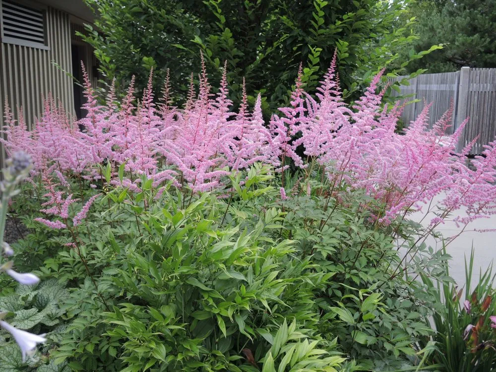 Expert lawn care service in Franklin Square, NY - Charles Landscaping