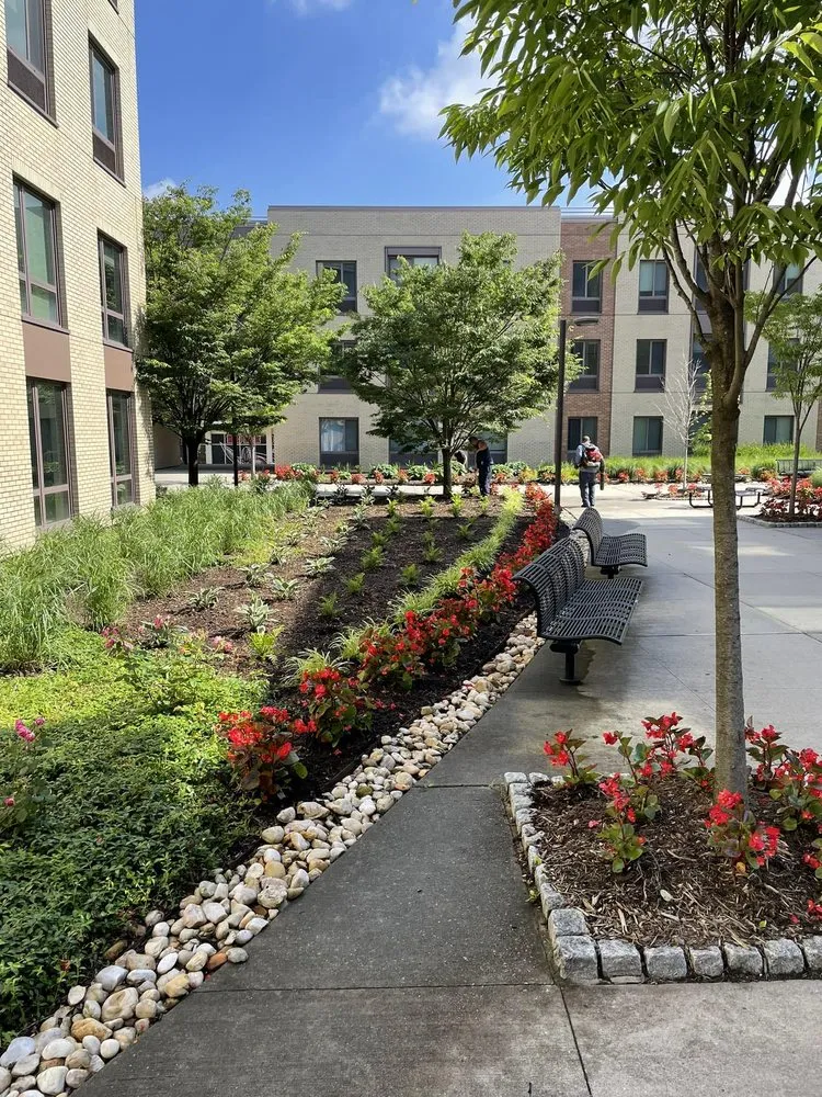 Local yard maintenance experts serving Franklin Square, NY - Charles Landscaping