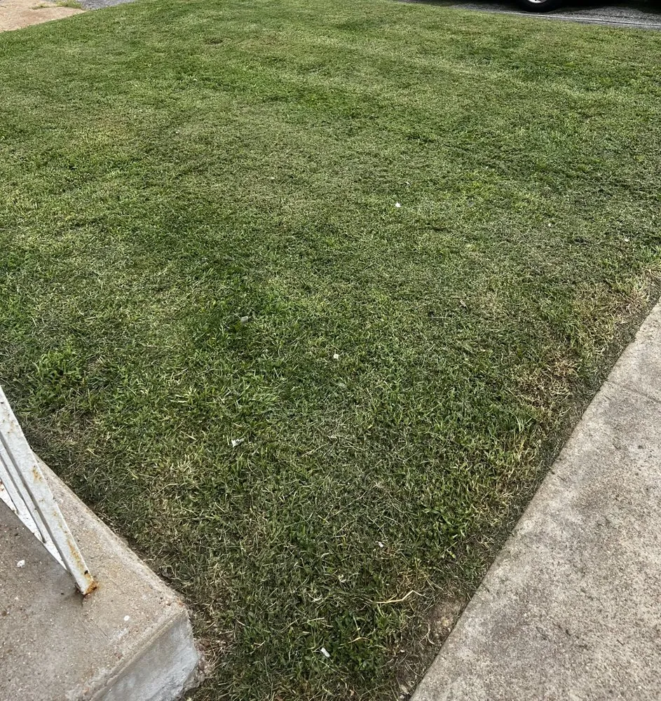 Expert residential landscaping for year-round maintenance in Saint Louis, MO by Charles Lawn Care