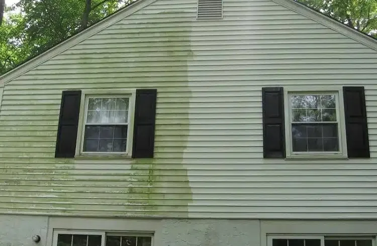 Top-rated yard maintenance with custom design in St. Louis, MO by Charles Lawn Care