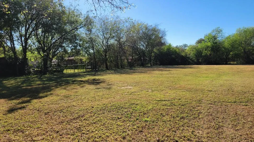 Affordable outdoor landscaping in Fort Worth, TX - Charles Lawn Service