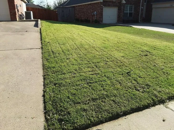 Professional landscaping services experts serving Fort Worth, TX - Charles Lawn Service