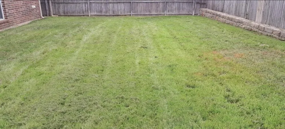 Trusted outdoor landscaping for beautiful yards in Fort Worth, TX by Charles Lawn Service