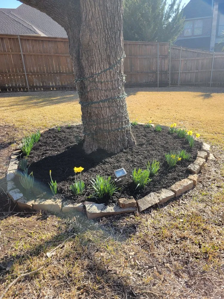 Top-rated yard maintenance in Fort Worth, TX - Charles Lawn Service