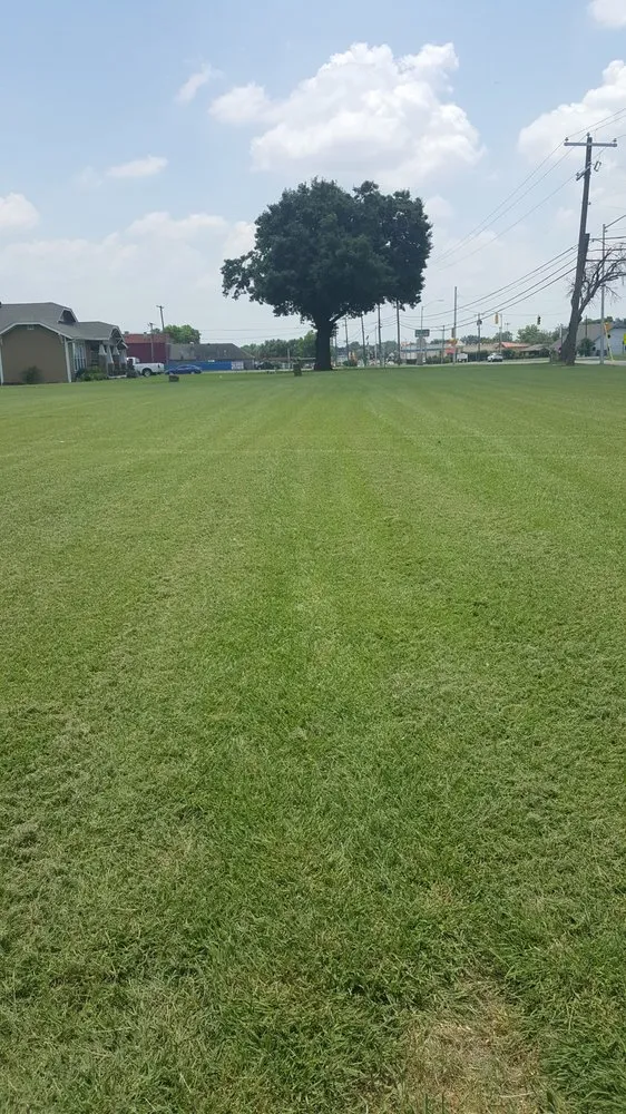 Professional yard cleanup service with custom design in Fort Worth, TX by Charles Lawn Service