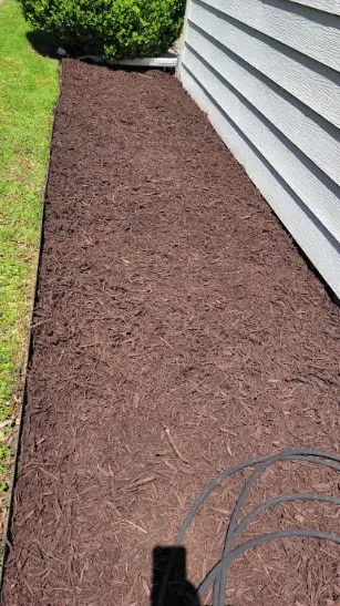 Professional yard maintenance for homes across Fort Worth, TX - Charles Lawn Service