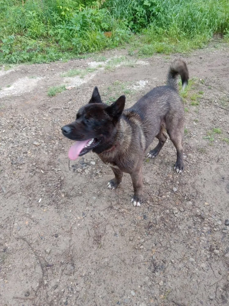 Affordable garden landscaping for homes across Millington, TN - Charles Lawncare