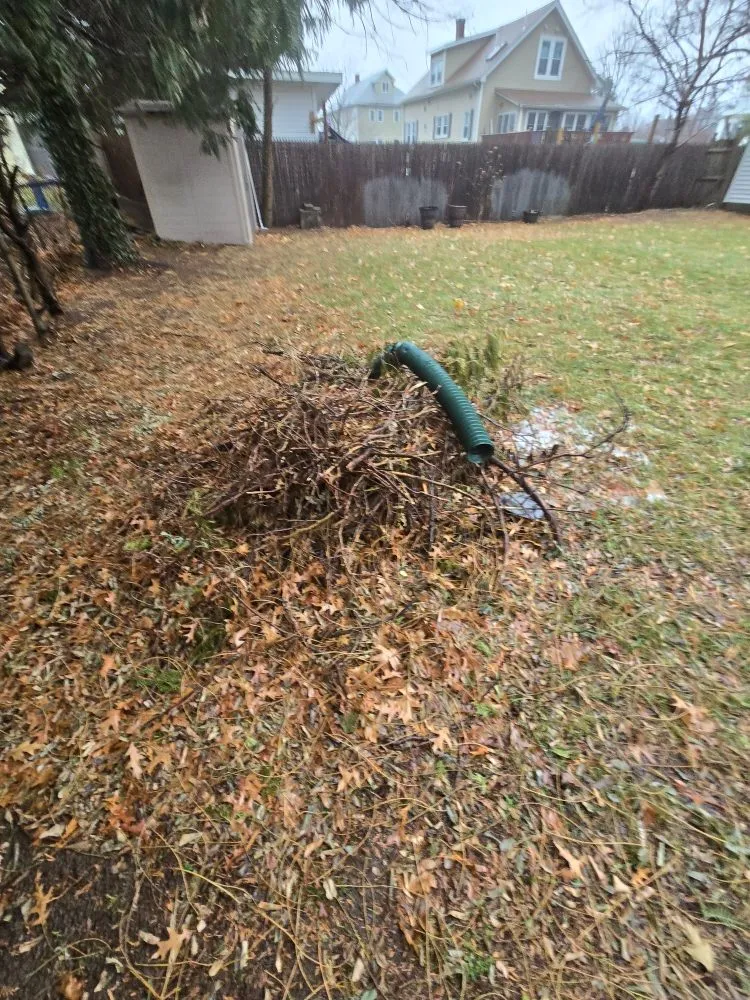 Affordable residential landscaping in Worcester, MA - Charles Lawncare Services