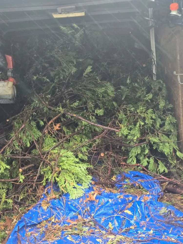 Affordable yard maintenance near you in Worcester, MA by Charles Lawncare Services