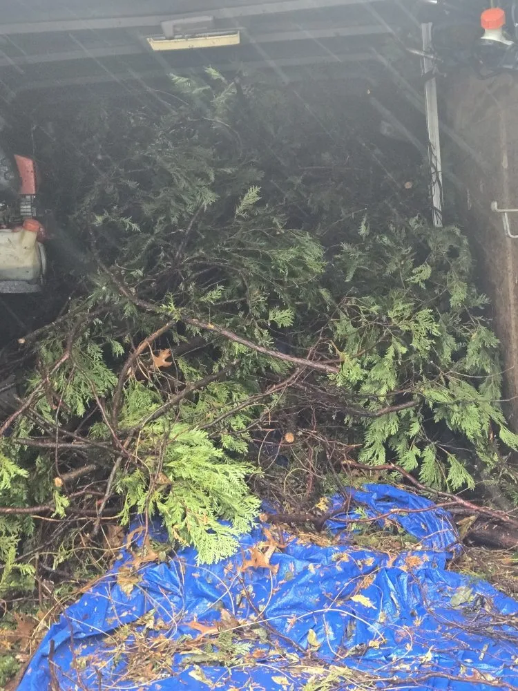 Affordable outdoor landscaping for year-round maintenance across Worcester, MA - Charles Lawncare Services