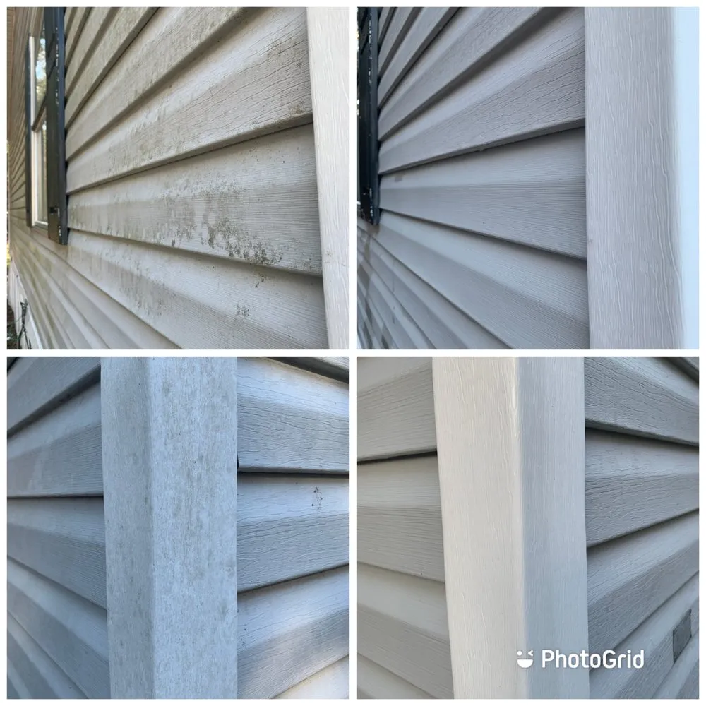 Affordable yard cleanup service for year-round maintenance across Mount Pleasant, SC - Charleston Clean & Green