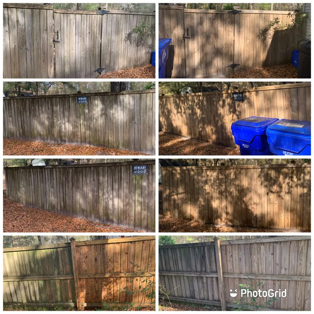 Reliable yard cleanup service experts serving Mount Pleasant, SC - Charleston Clean & Green
