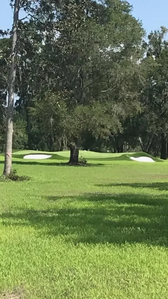 Professional yard maintenance in Johns Island, SC by Charleston Green