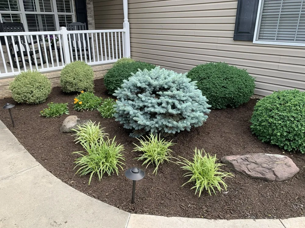 Top-rated yard cleanup service in Dover, PA - Charleston Landscape Service