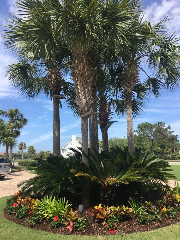 Custom landscaping services experts serving Goose Creek, SC - Charleston Lawn Care & Landscaping