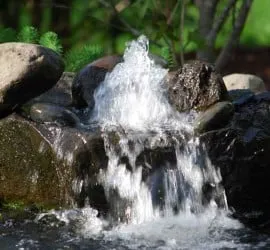 Professional landscape installation for beautiful yards in Charleston, SC by Charleston Plantworks LLC