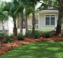 Top-rated garden landscaping in Charleston, SC - Charleston Plantworks LLC
