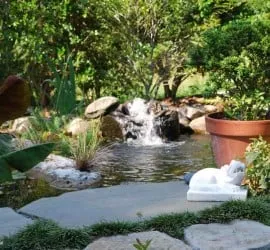 Affordable lawn care service in Charleston, SC - Charleston Plantworks LLC