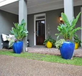 Affordable lawn care service with custom design across Charleston, SC - Charleston Plantworks LLC