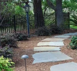 Trusted landscaping services in Charleston, SC - Charleston Plantworks LLC