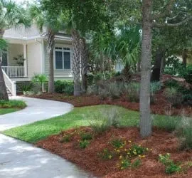 Custom outdoor landscaping in Charleston, SC - Charleston Plantworks LLC