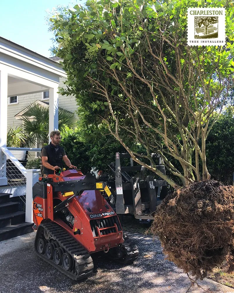 Professional garden landscaping in North Charleston, SC - Charleston Tree Installers